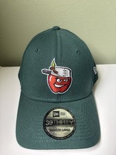 Fort Wayne Tincaps NWT 39thirty New Era Hat