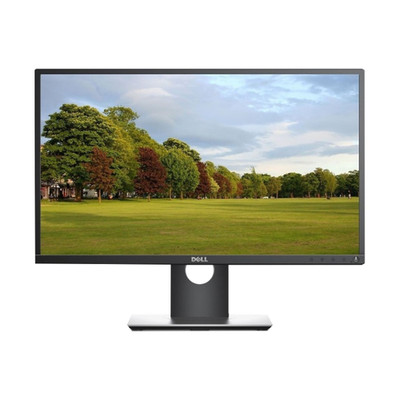 Dell P2417H 23,8 Zoll - Full HD IPS LED Monitor - Schwarz
