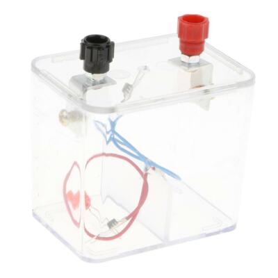 Primary Galvanic Cell Box Kits - Chemical Experiment Toy High School Chemie