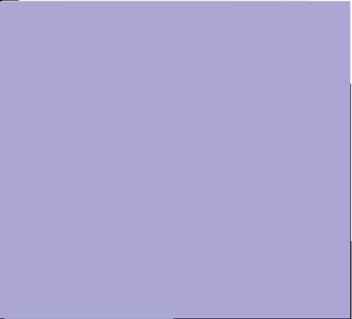 gabbiano pittura murale traspirante colorata per interno confezione da 5 Litri - Foto 244 di 246