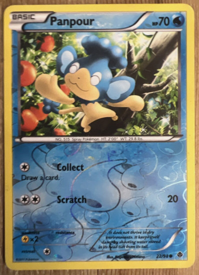 Pokemon - Panpour - BW - Emerging Powers - 22/98  - Reverse Holo - NM/M