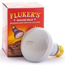 Reptile, Flukers Incandescent Basking Bulb 75 Watt 
