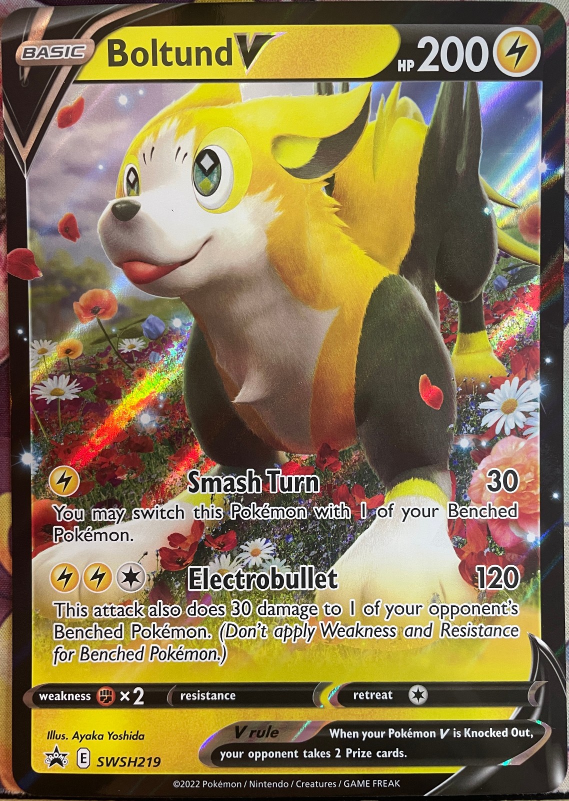 Boltund V Black Star Promo *Jumbo Card* - SWSH219 - Pokemon 2022