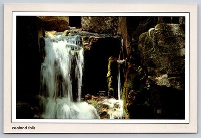 Vtg Postcard Zealand Falls White Mountains New Hampshire Waterfall Landscape USA