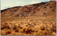 Western Desert Scene near Reno, Nevada - Postcard