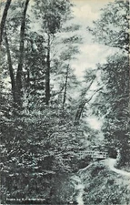 A View Of The Park Path, Great Neck, Long Island, New York NY