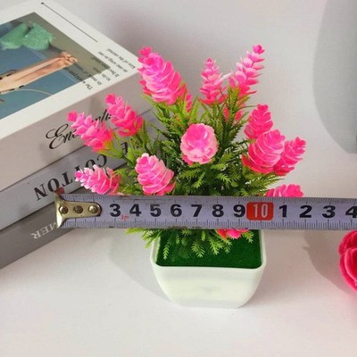 Schöne weiße Tannenzapfen und Indigo Lilie Blume Topfpflanze für Hochzeitsdek