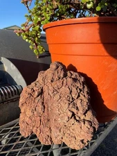 One Large, Red Lava Rock – Perfect for Terrariums, Aquariums, Succulents