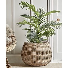 Beautiful Cox & Cox Large Round Rattan Indoor Planter, H 45 x Diameter 55 cm