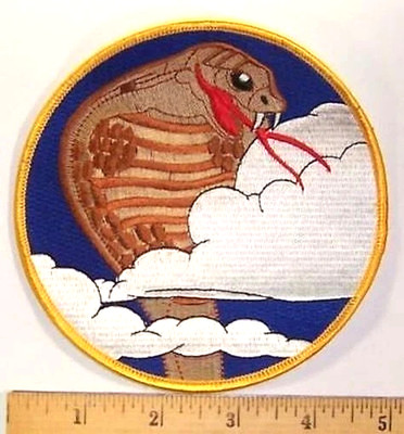 39th FLYING TRAINING SQUADRON Patch FTS Flight Test 340th Flying Training Group