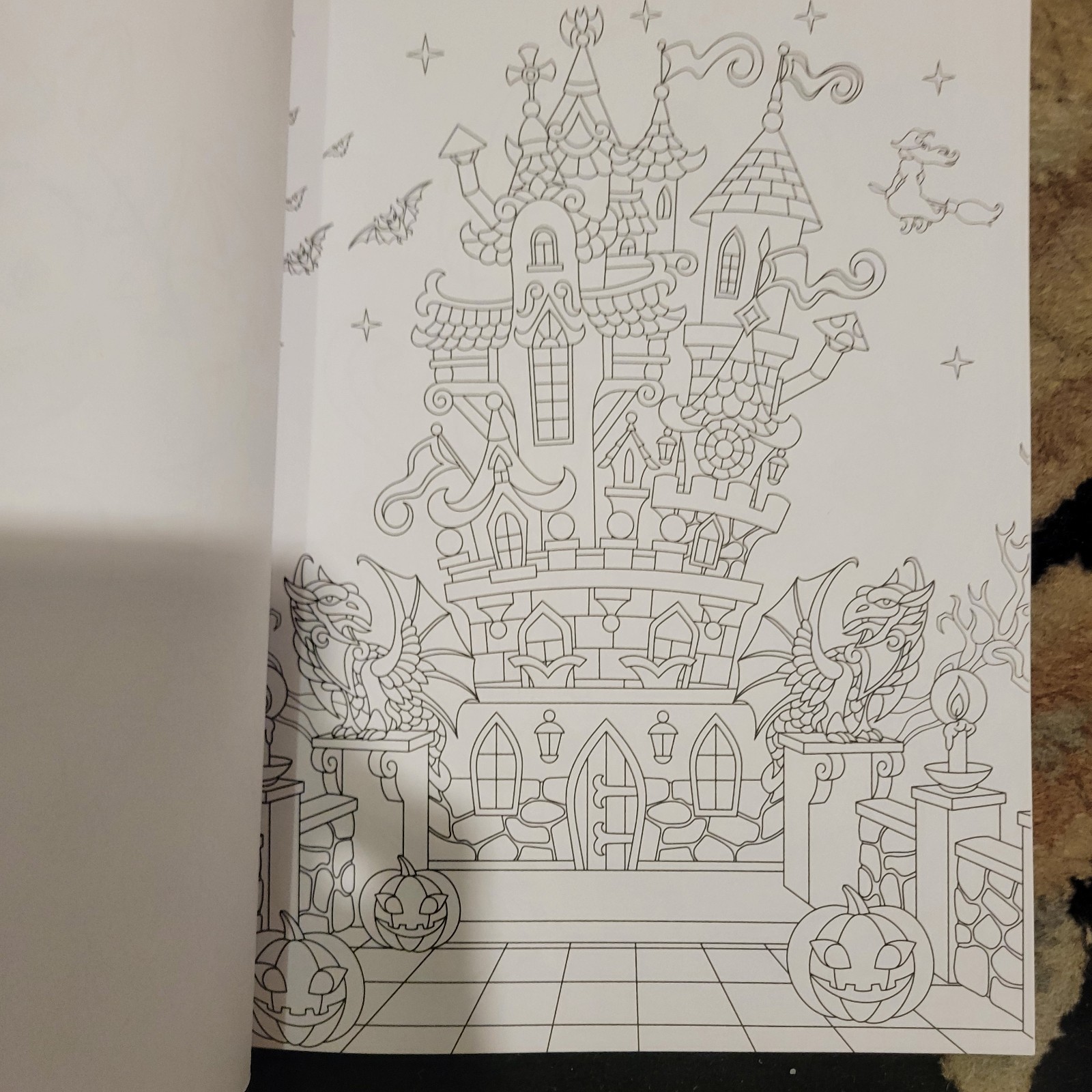 Picture 8 of 23