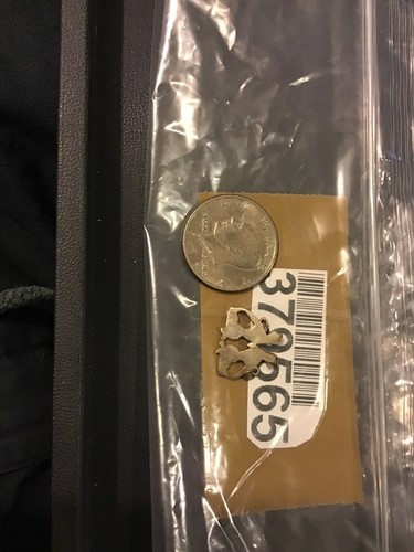 Sterling Silver Zodiac Pendant 925 Charm Gemini