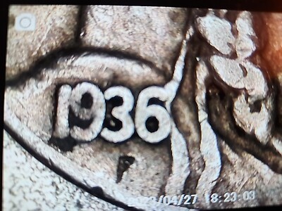 Buffalo Knickle 1936 Uncertain Mint Pretty Nice Shape Clear Date