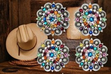 4 pc 1 3/4" crystal Rhinestone BERRY concho set multi colored cyrstals