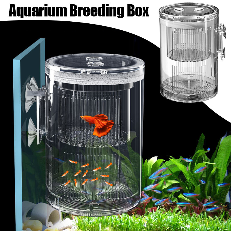 Petco Betta Tank Petco Small Fish Tank Aqueon Rectangle 60 Breeder
