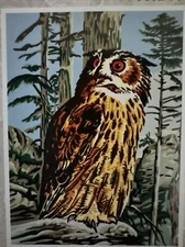 Printed needlepoint Tapestry  40x50 Cm Gobelin L Owl  Canvas Only