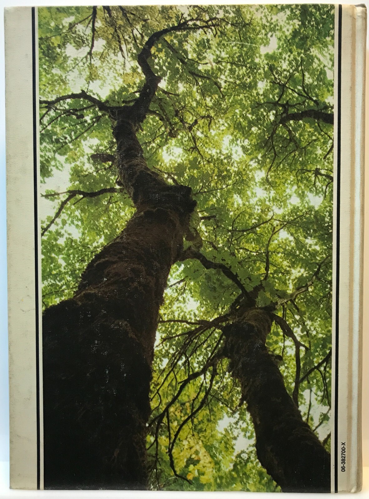 Picture 2 of 4