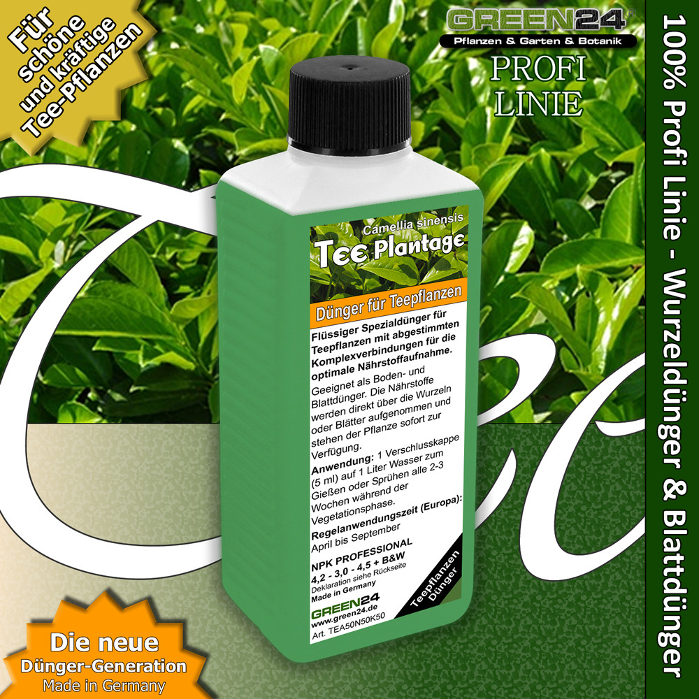 Teepflanzen-Dnger Tee, Camellia sinensis dngen, NPK Flssigdnger 250ml |  eBay.de