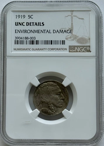 1919-P 5c Buffalo Nickel - NGC Unc Details