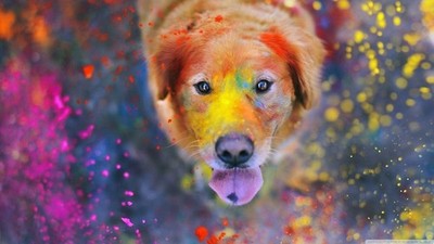 Anime animals dog paint splatter colorful tongues bokeh Play Gaming Mat Desk