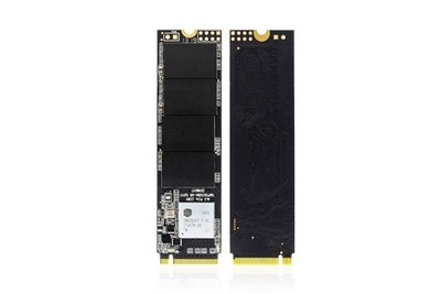 CoreParts MS-SSD-256GB-010 Internes Solid State Drive M.2 PCI Express 3D TLC NVM