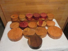 16PC THREE SPECIES MISSOURI TURNING WOOD BOWL BLANK