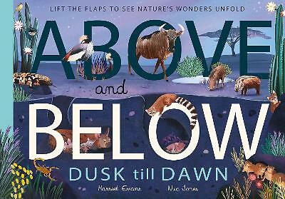 Above and Below: Dusk till Dawn: Lift the flaps. Age 5-10