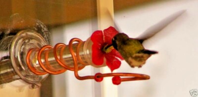 geranium flower COPPER WINDOW MOUNT HUMMINGBIRD FEEDER ( HAND CRAFTED )