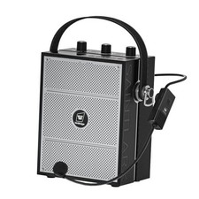 Voice Amplifier, Portable PA System with Wireless Headset Mic  Speaker, 40W