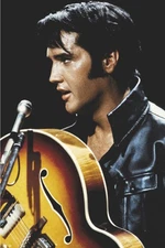 Poster Studio B - Elvis Presley The King Rock Star Classic 24x36" NEW Wall Art