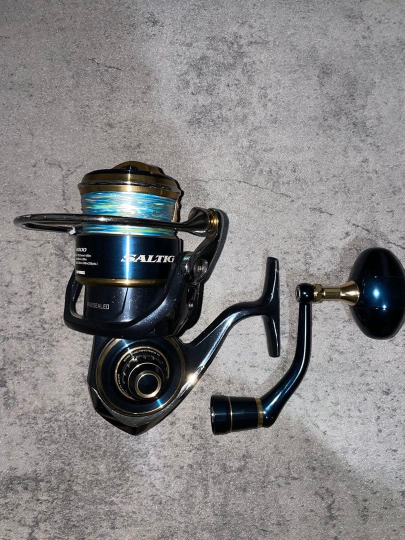 Daiwa 20 Saltiga 8000 H | eBay