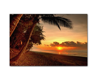 Mobel Wohnen Bild Auf Leinwand Strand Vintage Xxl Natur Meer Palmen Sonnenuntergang Leinwand Maybrands Com Ng