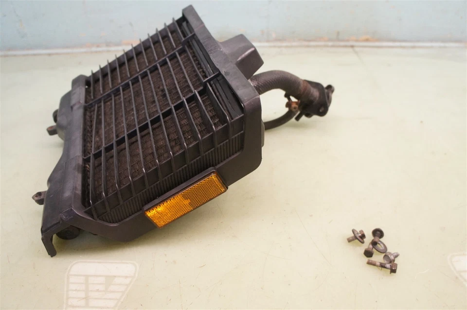 Yamaha RZ350 1985 Kenny Roberts RZ 350 RZ-350 LC LC350 *2046 radiador Foto 2 de 4