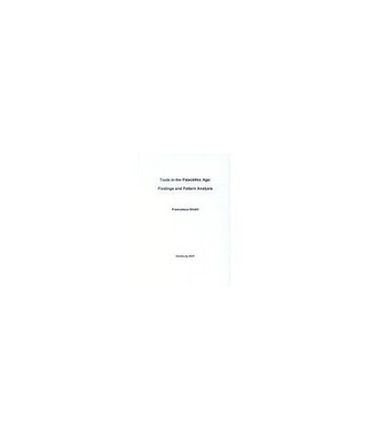 Tools in the Paleolithic Age: Findings and Patterns Analysis