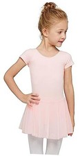 Toddler Ballet Leotards for Girls Dance Leotards with Skirt 2-4T Ballet Pink