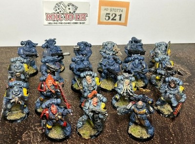 Waehammer 40k Space Marine Space Wolves Lot X20 Modelle bemalt & zusammengebaut