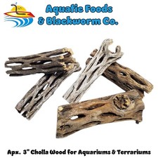3" Cholla Wood for Freshwater Shrimp