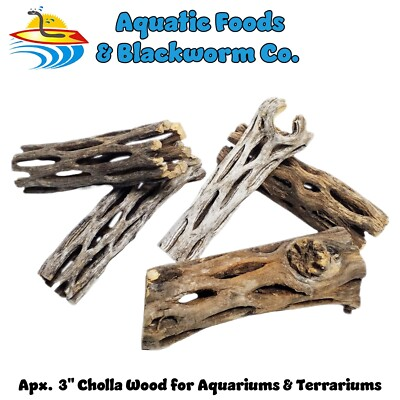#ad #ad 3quot; Cholla Wood for Freshwater Shrimp $21.99