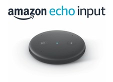 echo input ebay