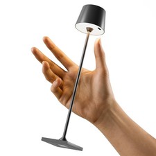 Compact Cordless Table Lamp, Rechargeable LED Night Light, Dual Light Source ...