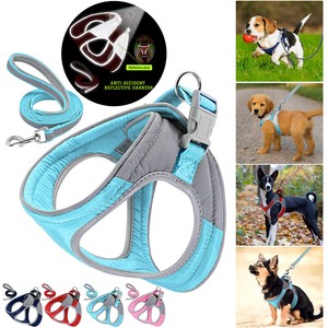hundegeschirr reflektierend gepolstert hunde brustgeschirr katze weste mit leine ebay