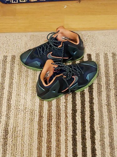 lebron 12 miami