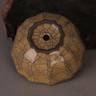 Picture 5 of 6