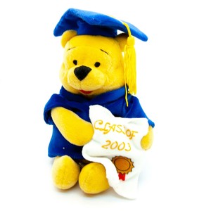 winnie the pooh graduation bear