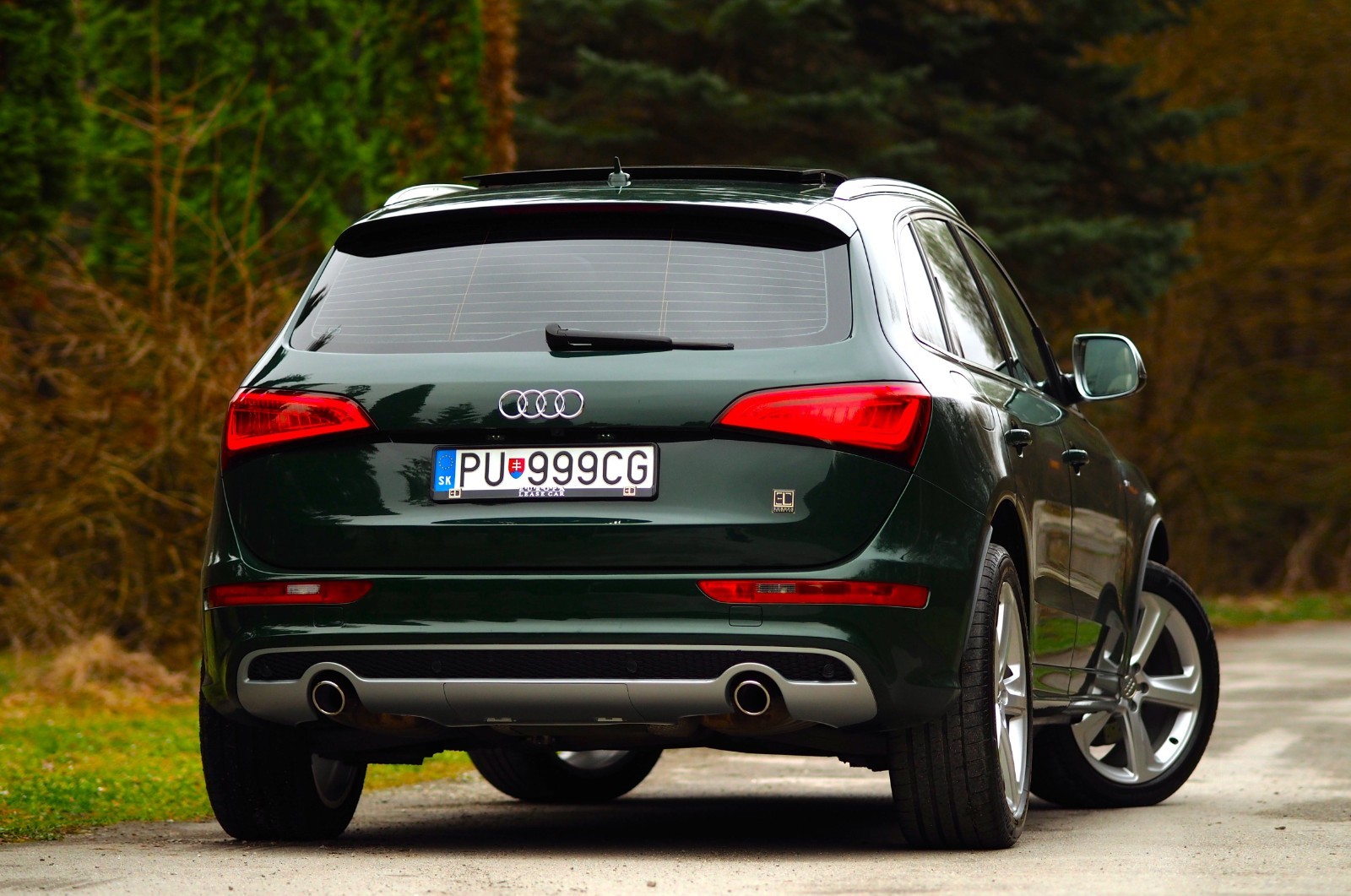 AUDI Q5 3.0 TDi QUATTRO AUDI EXCLUSIVE S-LINE-GOODWOOD VERDE PERLA foto 3