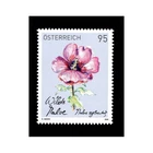 FR7690 - 2025 Austria Wild Mallow - Flowers Themed Stamp