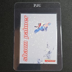Shaun Palmer | eBay