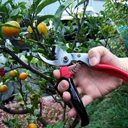 ARS Corporation HP-VS8R Hand Pruner - Thumbnail 3