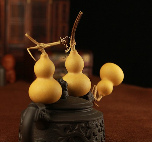 5 sztuk Naturalna butelka Gourds Rękodzieło Suszone Oczyszczone Calabash Cucurbit Zrób to sam Wystrój domu - Zdjęcie 2 z 7