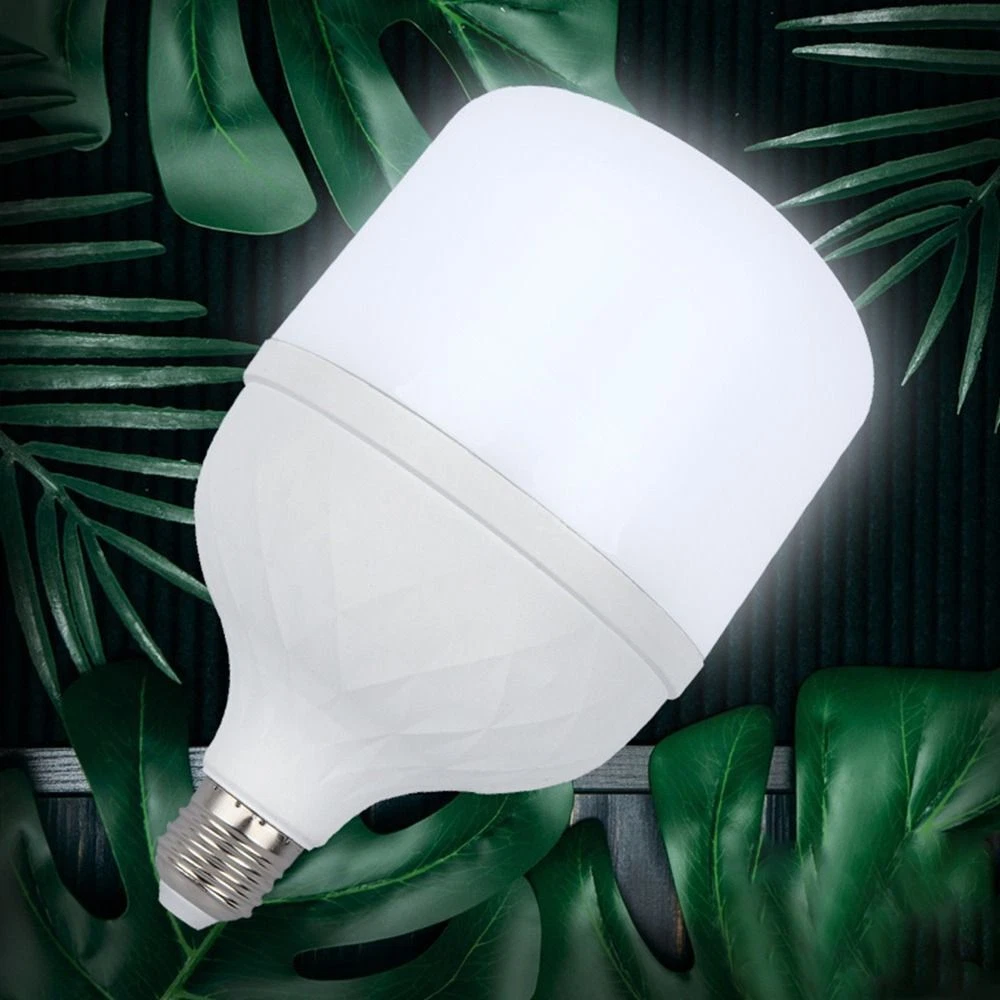 Portable cheap white light